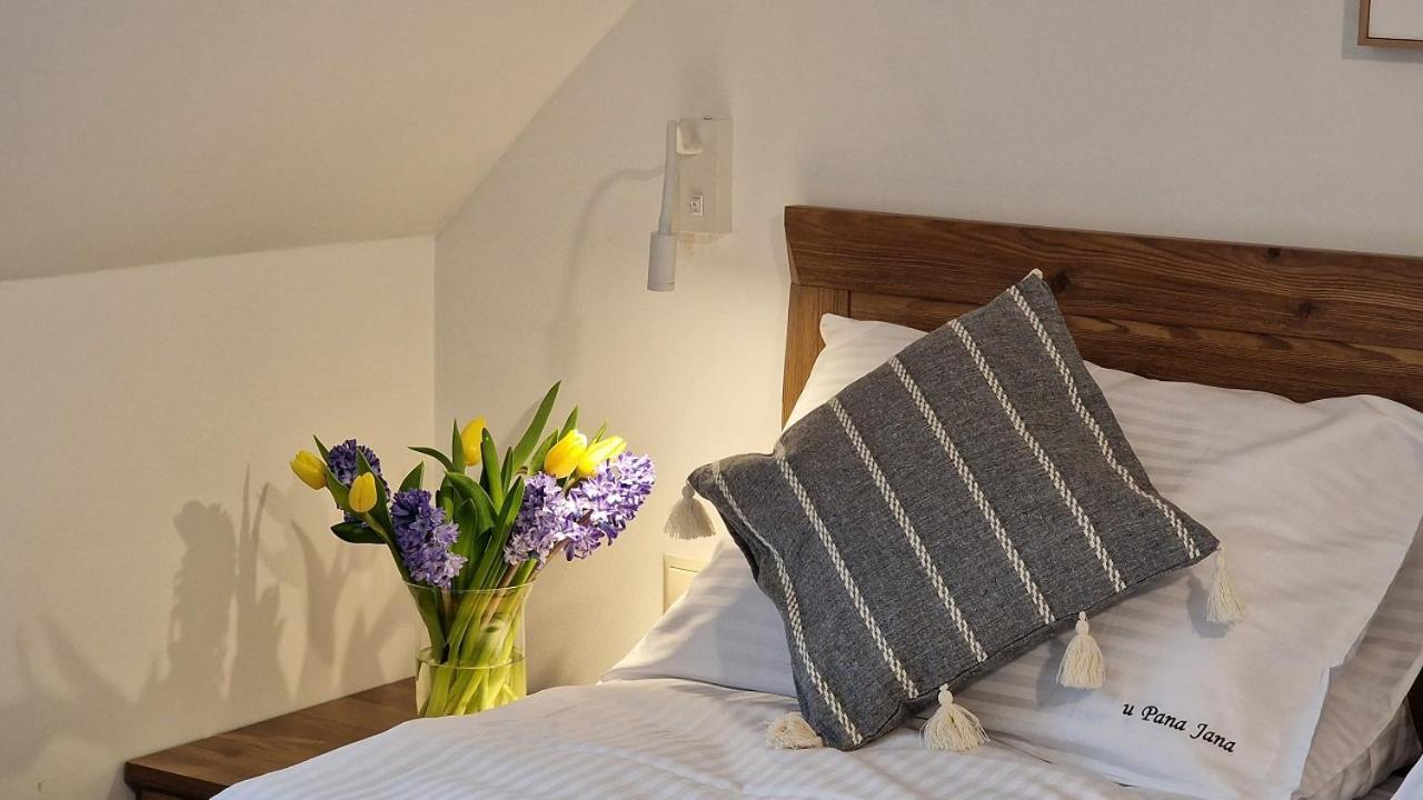 Apartment U Pana Jana